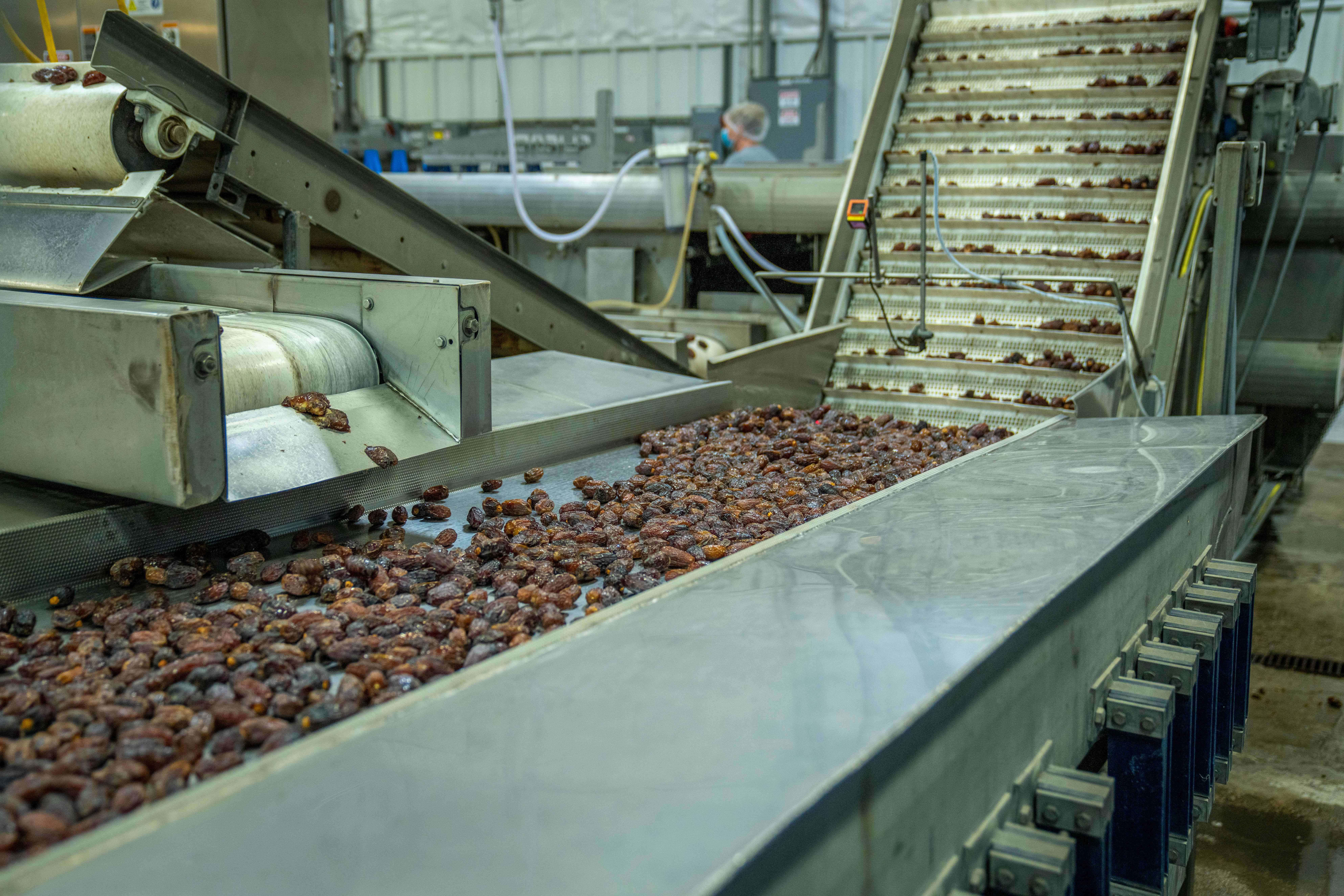 ARKK GROUP Food Processing Facility - Dried Fruit Processing